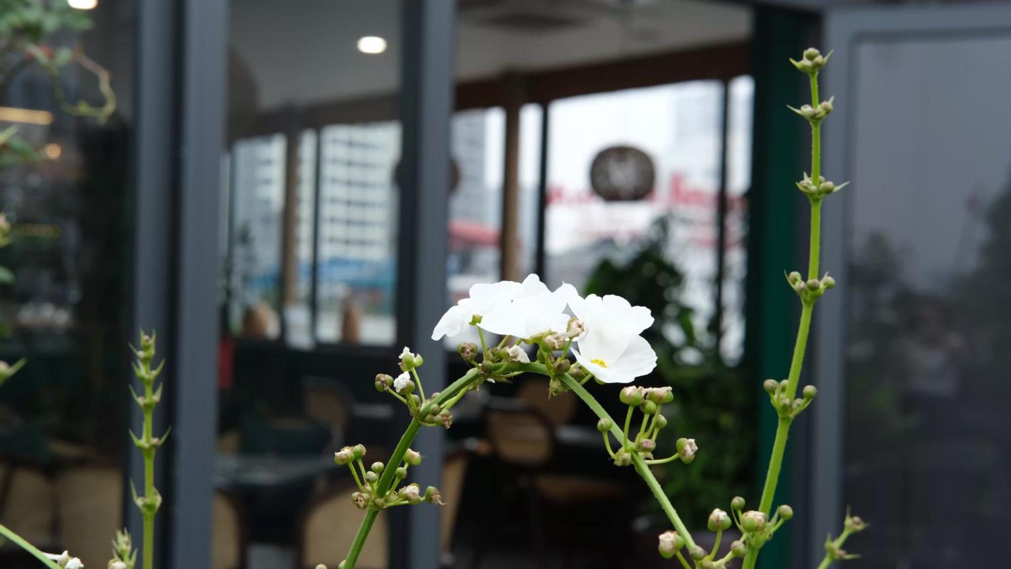 The Bloom Classic - Hotel And Bistro ฮานอย ภายนอก รูปภาพ