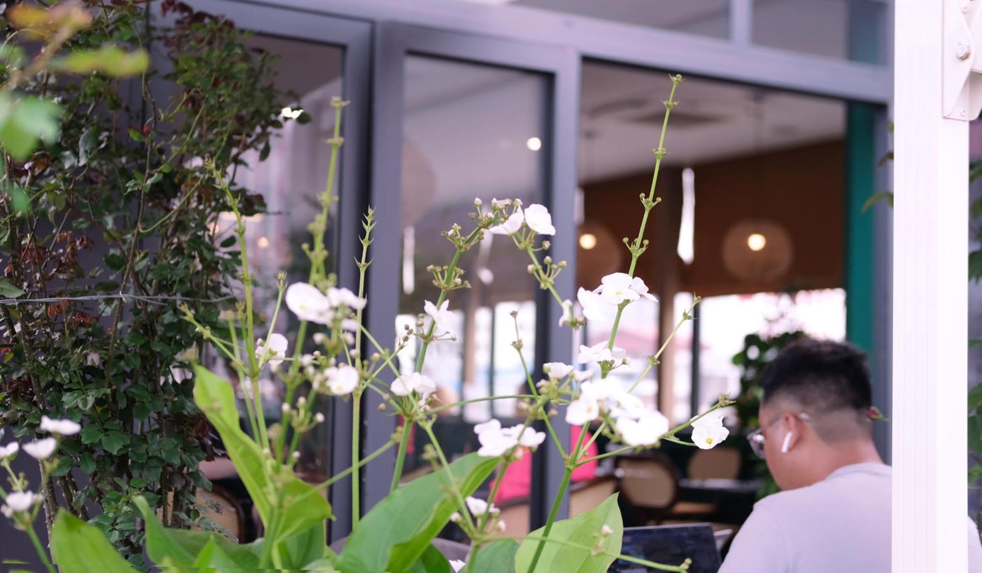 The Bloom Classic - Hotel And Bistro ฮานอย ภายนอก รูปภาพ
