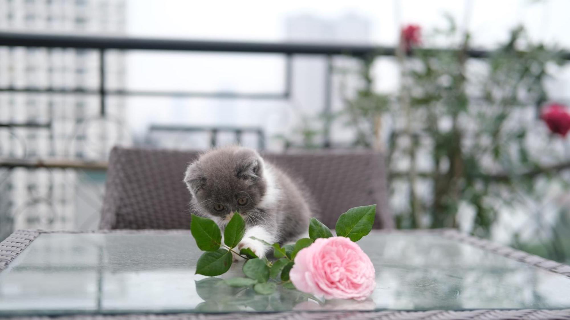 The Bloom Classic - Hotel And Bistro ฮานอย ภายนอก รูปภาพ